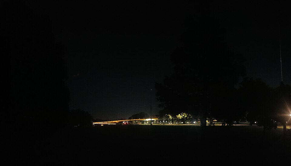 Moore Park, Sydney - 2025 - 1