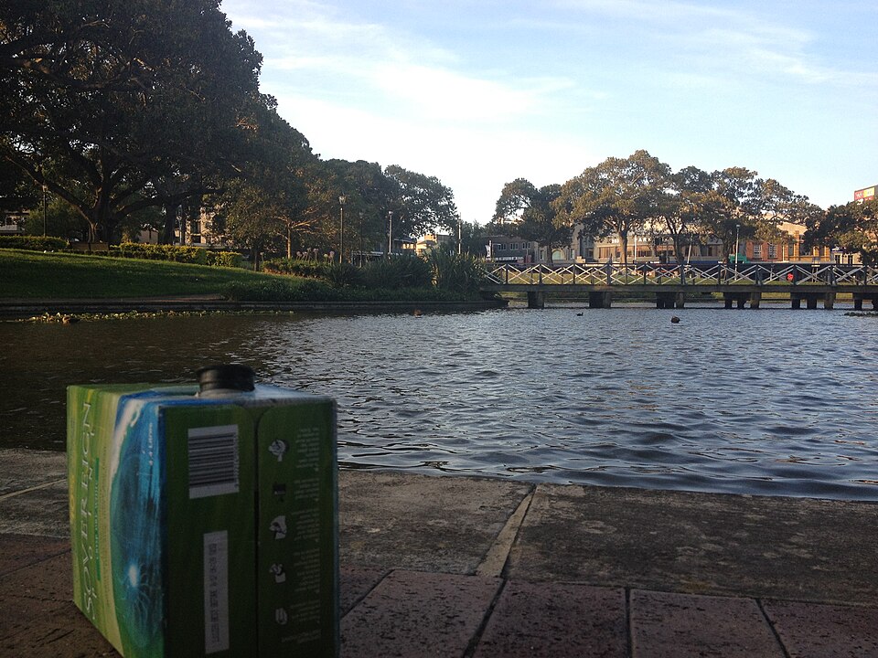Victoria Park Pond