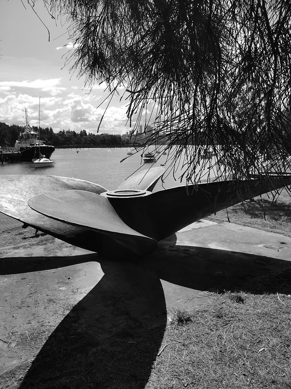 Propeller Park Balmain black and white